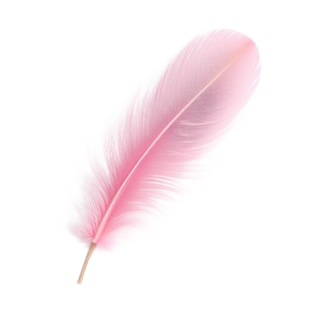 Pink feather on the floor